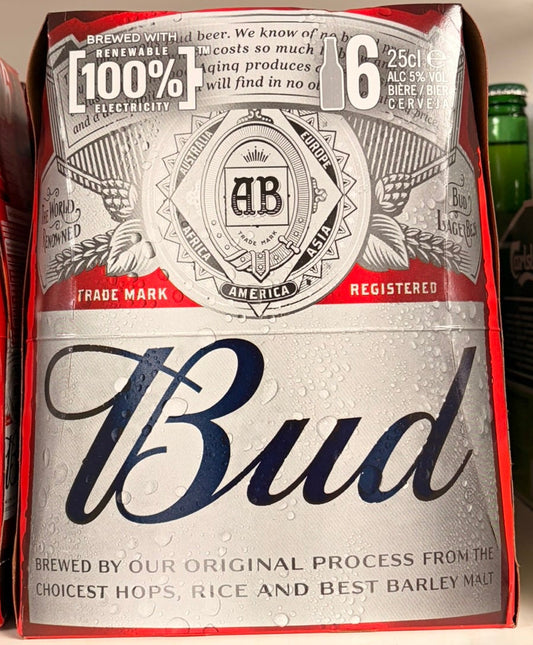 BIERE BUD 6X25CL 5D